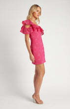 Load image into Gallery viewer, Frill Feature Neckline Embroidered Lace Dress