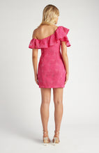 Load image into Gallery viewer, Frill Feature Neckline Embroidered Lace Dress